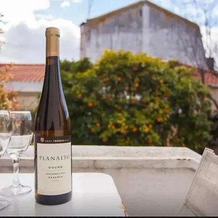 Alfama With Perfect Garden