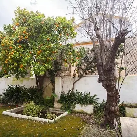 Διαμέρισμα Alfama With Perfect Garden