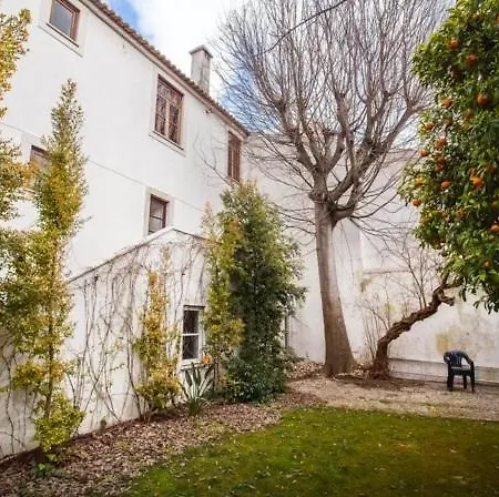 Alfama With Perfect Garden *